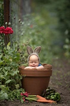 a baby is laying in a potted plant with carrots and flowers around it