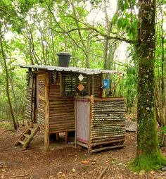 an outhouse in the woods with trees around it