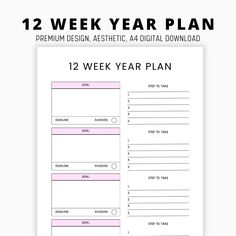 the 12 week year plan is shown in pink and white