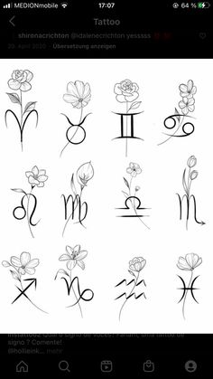 the zodiac signs and their meanings are drawn in black ink on a white background, with flowers