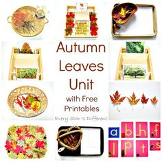 the autumn leaves unit with free printables is perfect for kids to use in their homes