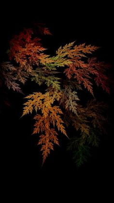 an image of colorful leaves in the dark