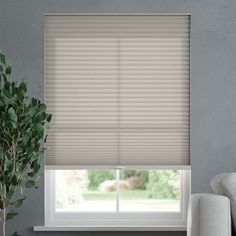 a living room with a white couch and window blinds