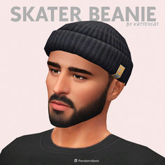 a man with a beard wearing a beanie and a black t - shirt that says skater beanie