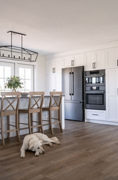 a dog laying on the floor in a kitchen