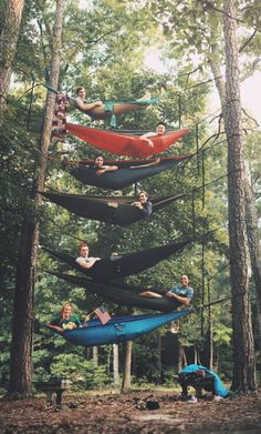 several people are hanging upside down in hammocks among the trees, while one person is reading a book