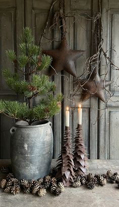 a potted plant with pine cones and candles in front of an old wooden door