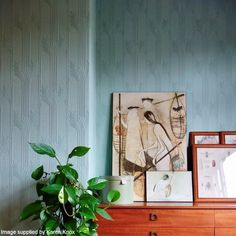 a plant is sitting on top of a dresser