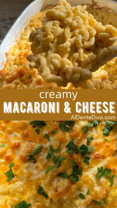 creamy macaroni and cheese casserole is served on a plate with a spoon