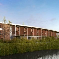 an artist's rendering of a building next to a body of water with reeds in the foreground