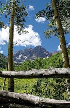 a wooden fence in the middle of a forest filled with trees and mountains behind it