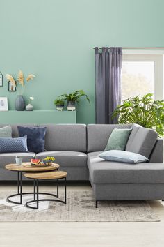 a living room with green walls and blue furniture in the corner, including a gray sectional sofa