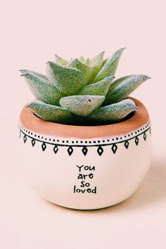 a small potted plant sitting on top of a table