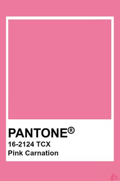 pantone's pink carnation color is shown