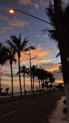 palm trees line the street as the sun sets