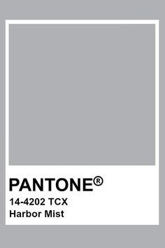 pantone's silver color is shown in the box, and it appears to be gray