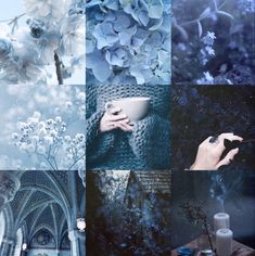 a collage of blue and white flowers