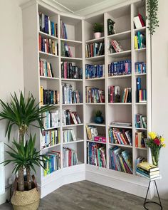 a white bookcase filled with lots of books next to a green potted plant