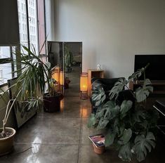 a living room filled with lots of plants next to a window