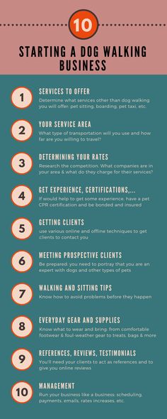 the top ten steps to starting a dog walking business infographical poster with instructions