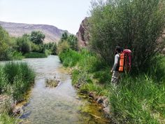 a man with a backpack is standing by a stream in the grass and bushes on either side of him