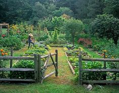 a garden filled with lots of different types of plants and flowers next to a wooden fence