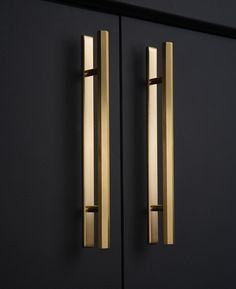 two brass handles on a black cabinet