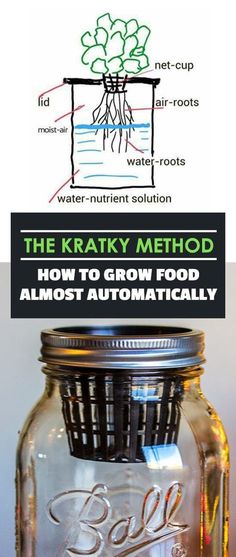 the kraty method how to grow food almost automatically in a mason jar