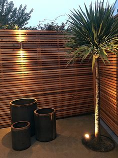 two black trash cans sitting next to a palm tree in front of a wooden fence