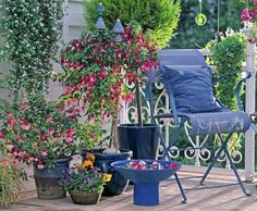 some potted plants are sitting on a porch next to a blue chair and table