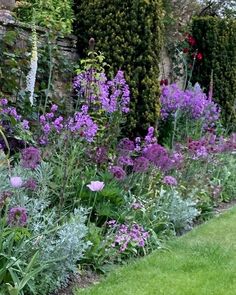 a garden filled with lots of purple flowers next to a brick wall and green grass