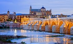 an old stone bridge over a river in front of a large building with towers on top