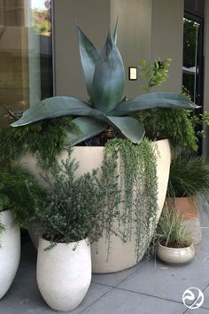 two large white planters with plants in them