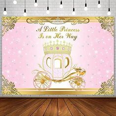 a princess is on her way backdrop with a horse drawn carriage in the center and gold lettering