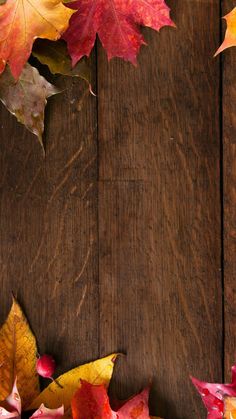 autumn leaves on wooden background with space for text