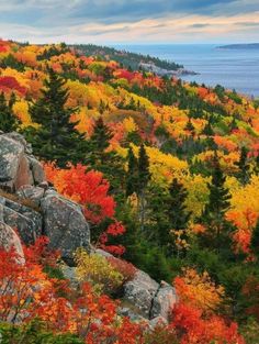 an autumn scene with colorful trees and rocks in the foreground, on top of a mountain