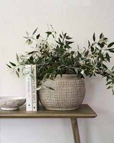 a potted plant sitting on top of a wooden table next to a book and bowl