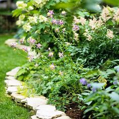 a garden filled with lots of different types of flowers