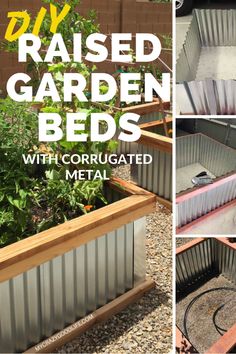 the diy raised garden beds with corrugated metal are easy to build and can be used as planters