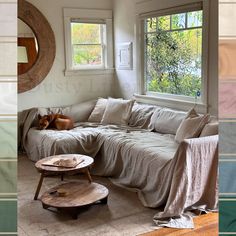 a dog laying on top of a couch in a living room next to a window