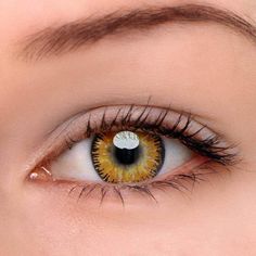 Mystery Yellow Colored Contact Lenses | Anma Beauty Dbh Aesthetic, Eye References, Prescription Contact Lenses, Colored Eye Contacts, Prescription Colored Contacts, Eye Contacts, Soft Contact Lenses, Contact Lens Solution, Halloween Contacts