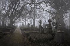 an old cemetery with tombstones and trees in the fog