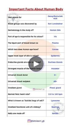 an interactive video explaining the effects of human body language and its functions in english speaking