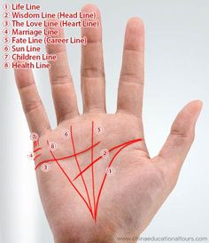 Hand Lines Meaning, Palm Lines Meaning, Marriage Lines Palmistry, Palm Reading Lines, Palm Reading Charts, Palmistry Reading, Palm Lines, Basic Chinese, Palm Reader