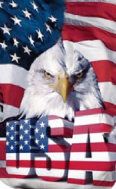 an eagle with the word usa in front of two american flags, one is bald