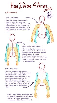 how to draw arms and chest in three different ways, with instructions for each arm