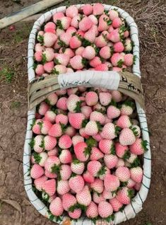 a basket full of strawberries sitting on the ground