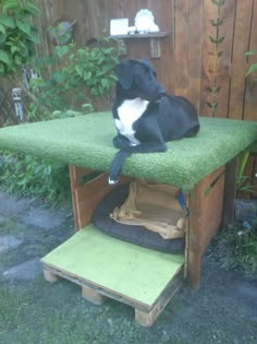 a black dog sitting on top of a wooden bench in the grass next to a fence