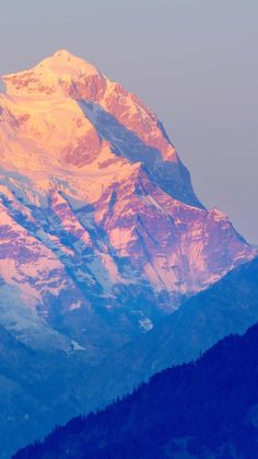 a large mountain covered in snow next to trees