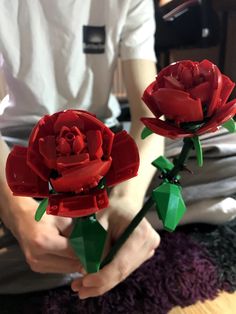 two red flowers are being held by someone